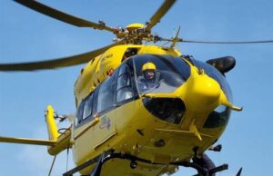Punto da un insetto, grave un 52enne di Molinella