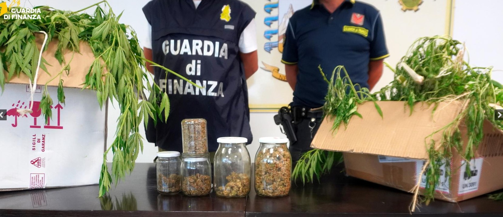 Chieti, 20 chili di marijuana nascosti tra la vegetazione