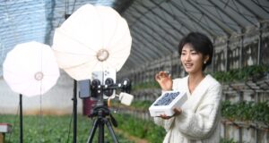 Cina, e-commerce in crescita nei primi due mesi dell’anno