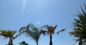 Marina di Pietrasanta, inaugurato il Tala Beach. Più di mille gli ospiti
