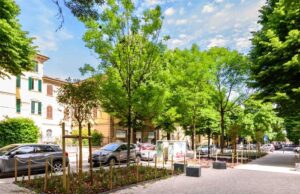 Bologna Città 30, al via la riqualificazione di piazza Trento e Trieste